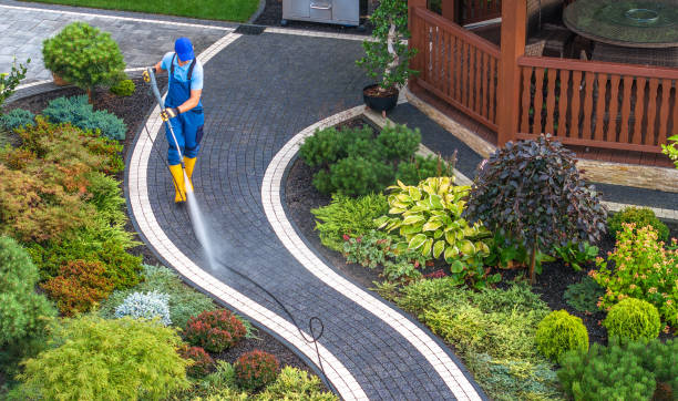 Best Concrete Pressure Washing  in Centreville, MD
